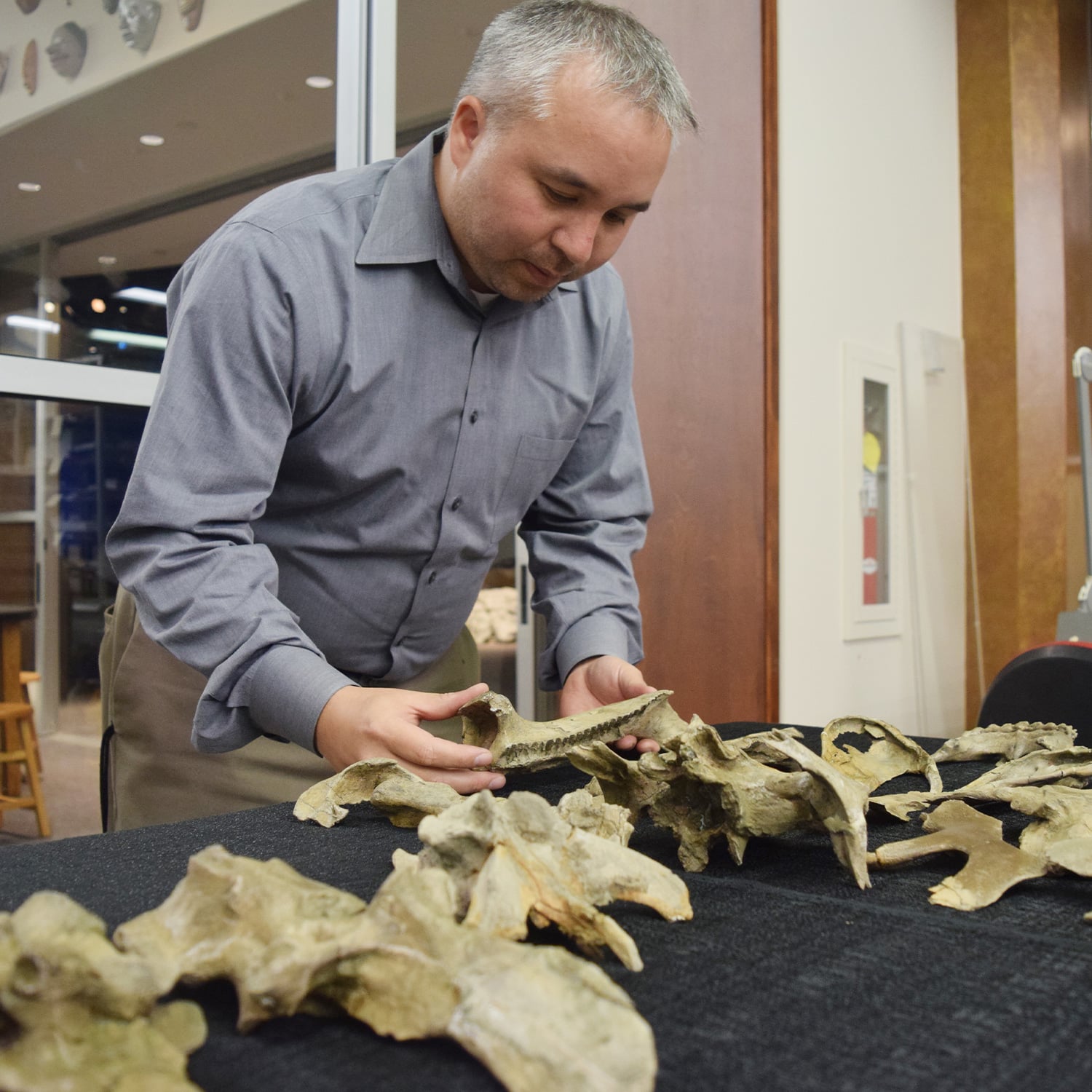 A museum educator examines dinosaur fossils during a children's science center paleontology workshop.