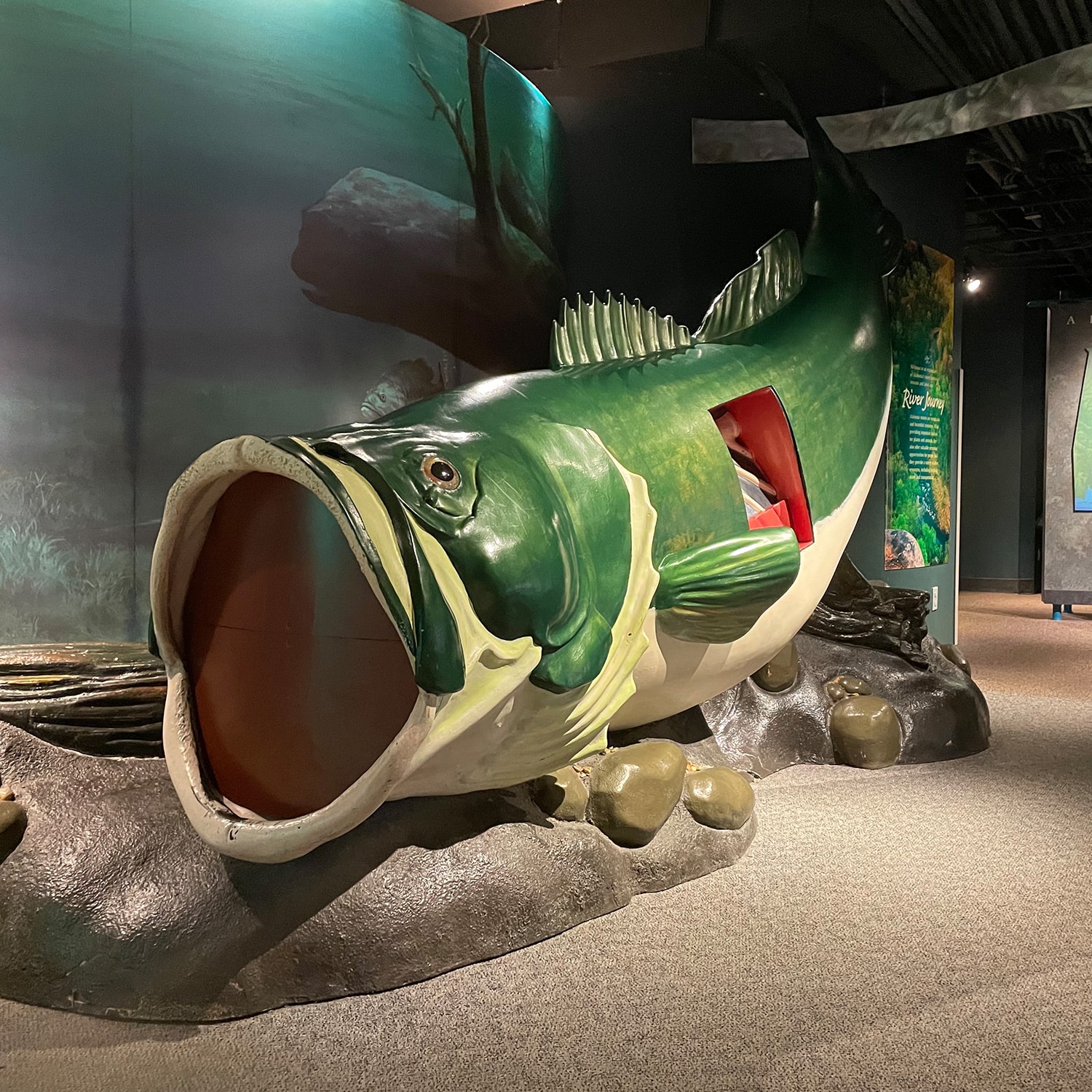 Interactive giant fish tunnel at children's science center teaches river ecosystem; crawl-through bass exhibit.