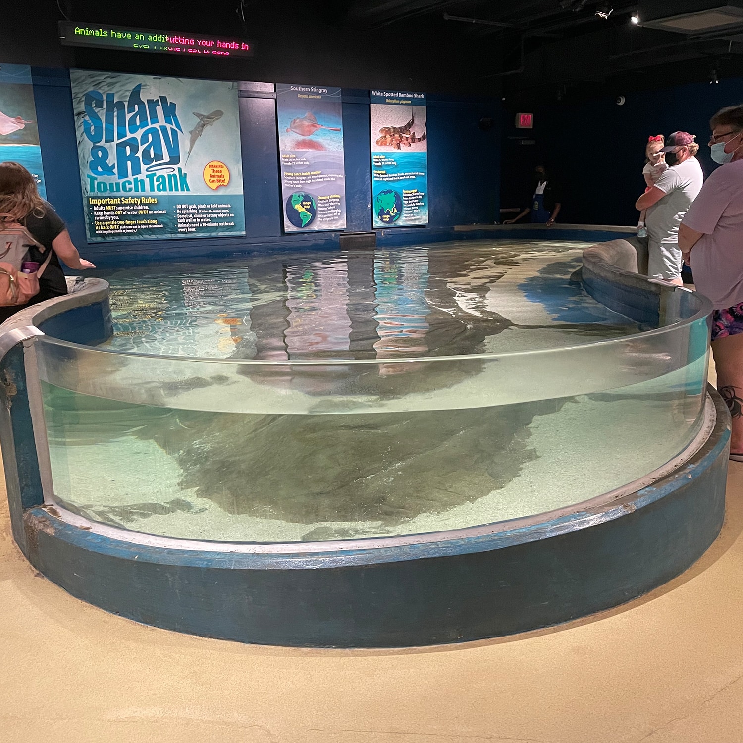 Visitors at the Shark & Ray Touch Tank interactive exhibit at the children's science center aquarium.