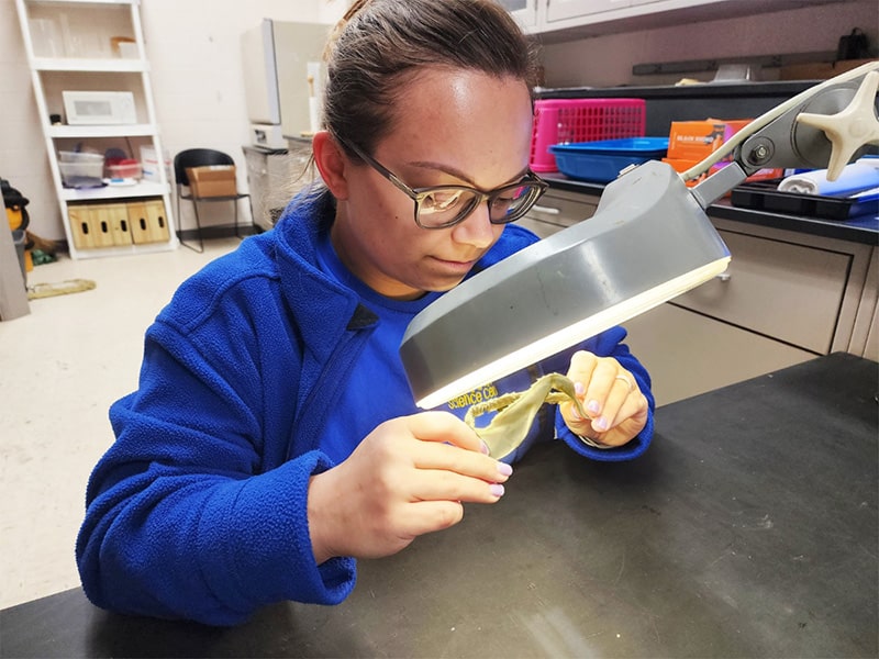 A person examines a specimen under a magnifying lamp in a children's science center lab, exploring hands-on STEM learning.