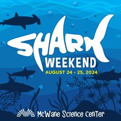 Shark Weekend at McWane Science Center, August 24-25, 2024 — family-friendly shark science event.