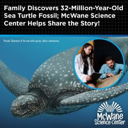 McWane Science Center: illustration of ancient sea turtle and two scientists studying a 32-million-year-old fossil discovery