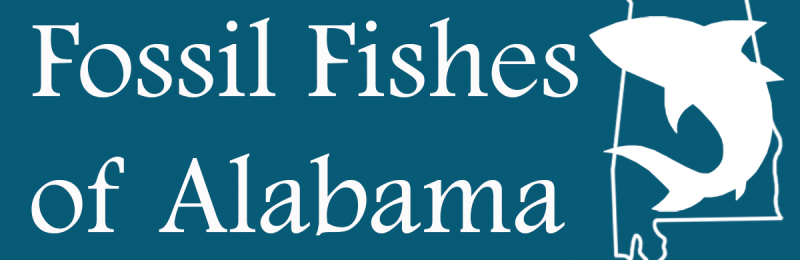 Children's science center Fossil Fishes of Alabama exhibit logo with shark silhouette in the Alabama state outline