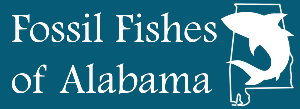 Children's science center Fossil Fishes of Alabama exhibit logo with shark silhouette in the Alabama state outline
